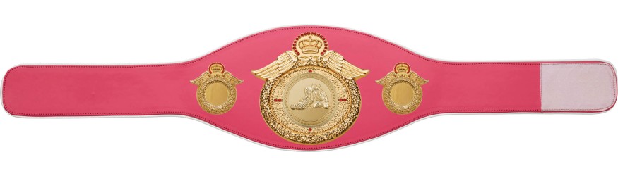 JIU JITSU CHAMPIONSHIP BELT-PROWING/G/JJG-6+ COLOURS